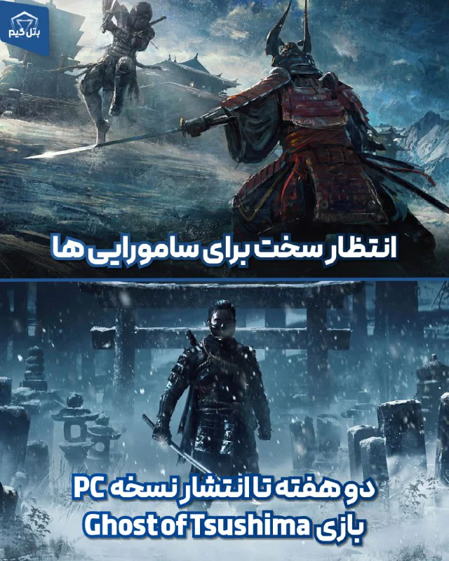 فقط 11 روز